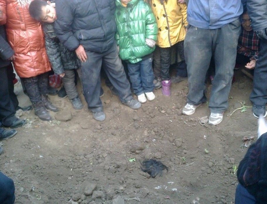 江苏响水县裕廊大桥下挖出多具孩童尸体 - 社会