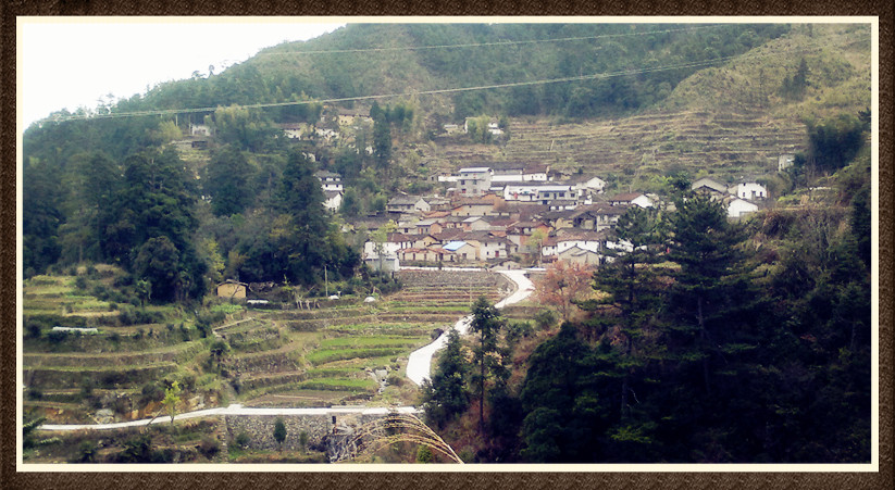 龙泉市屏南镇周岱村