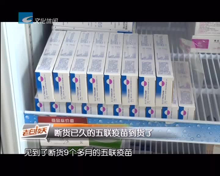 断货已久的五联疫苗到货了