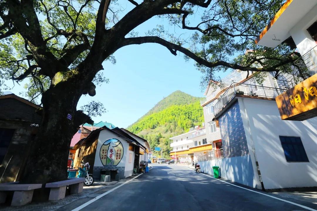 遂昌西畈江山公路何时开工（义乌回遂昌要隔离吗）
