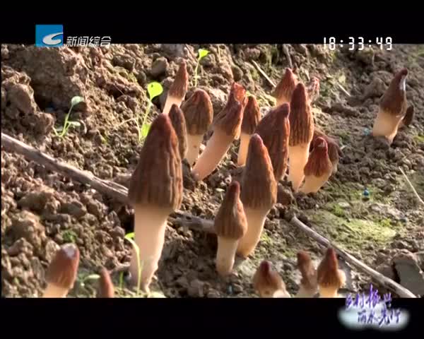 ˮС