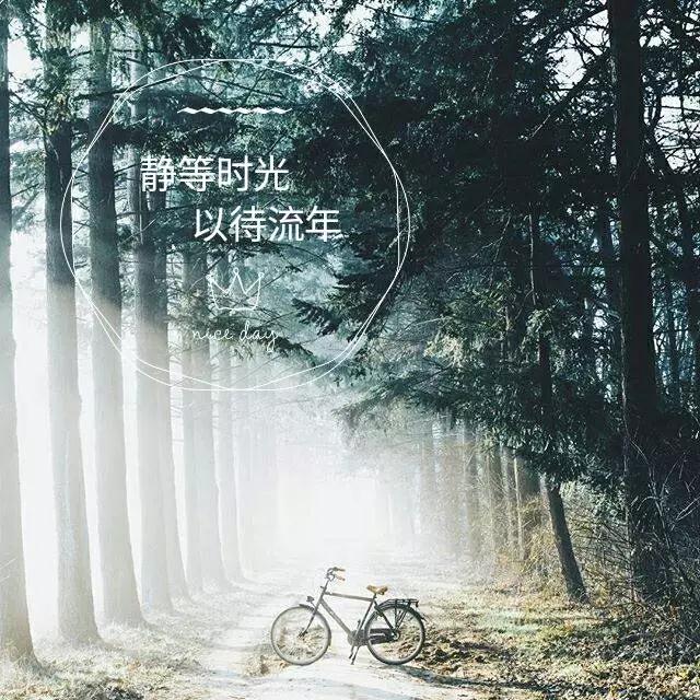 金主播说|静守时光,以待流年 朗读者:白金