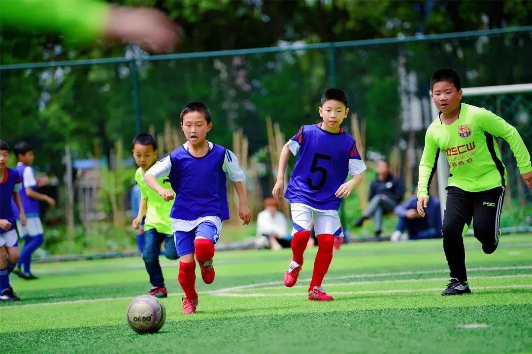莲都这三所小学入围"亚运足球梦想学校"