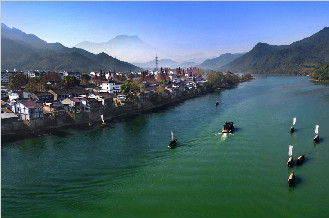 大港头镇逐步提升茶产业转型，打造特色美丽城镇