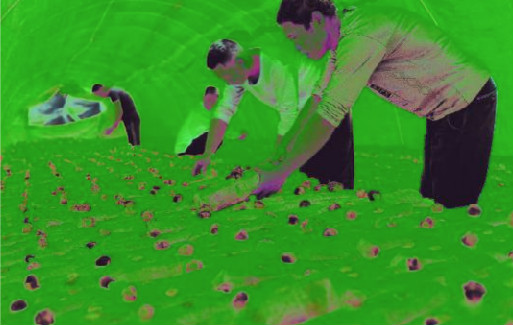һЭͬչѾ
